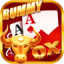 tom rummy icon