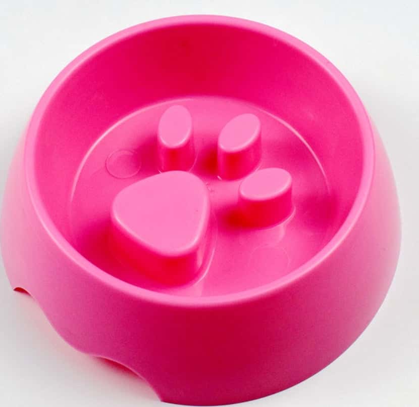 Plastic Paw Print Slow Feeder Dog Bowl | Moore Shoppe